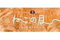 《tama》1カ月まるごと猫と楽しむ【2月は猫の月】特別キャンペーンを開催！