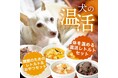 《POCHI》ぽかぽか温活セット（犬用）2種を数量限定販売
