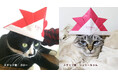 【tama】猫用サイズのかわいい「折り紙かぶと」プレゼント