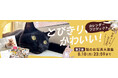 【8月10日（月）まで】tamaのカレンダープロジェクト◎第2弾「とびきり、かわいい！」猫の写真大募集