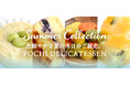 《POCHI 季節限定デリ》POCHI DELICATESSEN サマーコレクション2026を販売開始