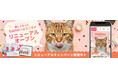 欲しい商品がより探しやすく。tamaサイトを全面リニューアル