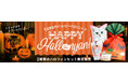 《tama》猫もイタズラ計画？ 2種類の「ハロウィンセット」を9月29日より販売開始