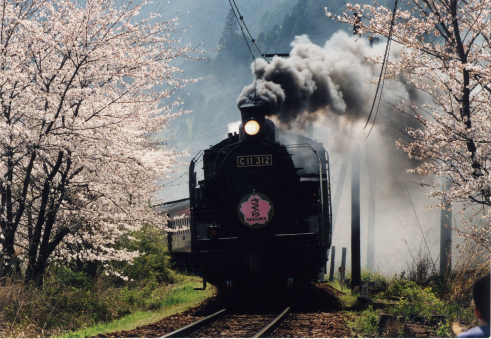 桜えび秋漁 10月24日ついに解禁 静岡県のプレスリリース