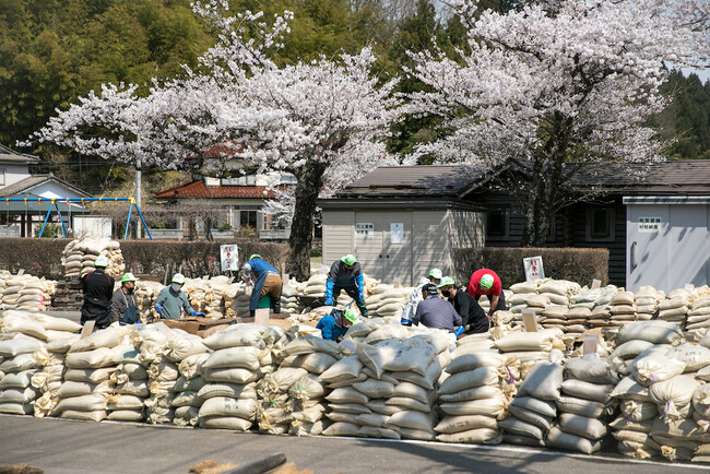 催芽場に複数ある温泉水の水槽に浸けての芽出し作業 催芽場に複数ある温泉水の水槽に浸けての芽出し作業