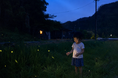 関東・夜の里山を歩き、天然蛍に会いに行く。東京から90分・千葉富津のグランピング和心村で6/1開始