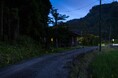 蛍の季節が終わり、里山の夏へ。千葉・富津の和心村が2026年の蛍シーズン終了を報告