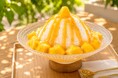 森の涼、山奥の水源地から引いた水風呂、ふわふわ台湾かき氷。日帰りBBQ＆薪サウナが10％OFF
