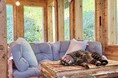 猫が安心して暮らしているから、「猫治」が成り立っている。和心村では「猫治文化」誕生記念キャンペーン開催中