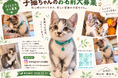 あえて子ども限定。子どもが自分の感性で考え、動物や命を大切にするきっかけに。千葉・子猫の名前募集キャンペーン開催中