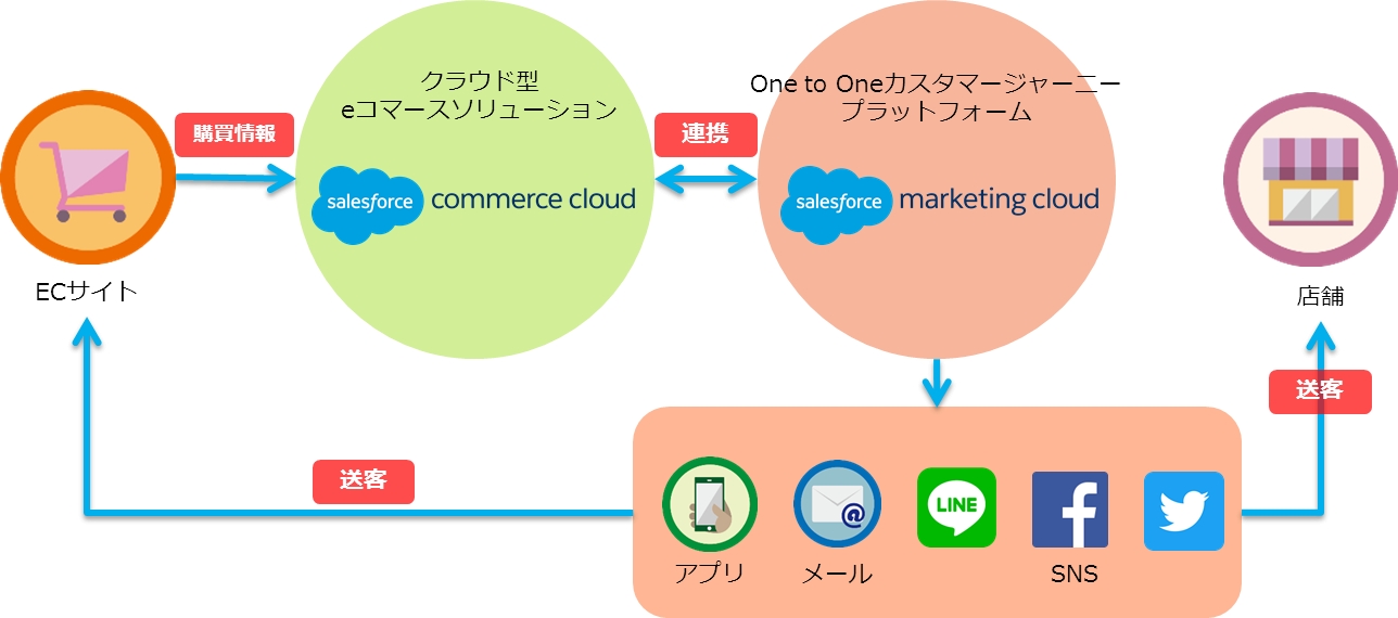 TIS 、One to Oneデジタルマーケティングプラットフォームの導入を支援