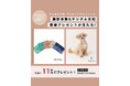 【11月1日は犬の日!】株式会社LOOTaDOG Japanは、愛犬家のための犬専門写真館Dogramと共同で、「わんわんの日キャンペーン」を開催いたします。