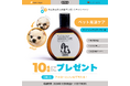 株式会社LOOTaDOG Japanは、ラムズマークス株式会社、Pets Tokyo株式会社と共に、愛犬家に向けたプレゼントキャンペーンを実施いたします。