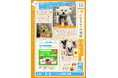 ペットと暮らす毎日をもっと楽しく！「ペッツトウキョウ新聞」11月号を発行