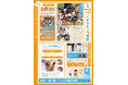 ペットと暮らす毎日をもっと楽しく！「ペッツトウキョウ新聞」1月号を発行