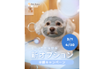 【PetsTokyo 幡ヶ谷店店】しっとりサラサラ新オプション半額キャンペーンを３月より開催