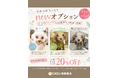 【PetsTokyo 飯田橋店】ふわふわしっとりnewオプションキャンペーンを5月より開催