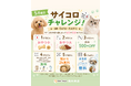 【PetsTokyo 西大井店】５月限定！サイコロチャレンジキャンペーンを開催