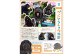ペットと暮らす毎日をもっと楽しく！「ペッツトウキョウ新聞」8月号を発行