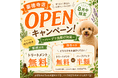 【PetsTokyo 豪徳寺１号店】リニューアル記念 ハーブで虫除け対策キャンペーンを開催