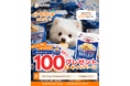 8月26日は「世界犬の日」！愛犬と同じおやつを楽しむ「うちの子ありがとうweek」開催