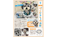 ペットと暮らす毎日をもっと楽しく！「ペッツトウキョウ新聞」8月号を発行