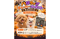 【Pets Tokyo西大井店】ハロウィンチョーカープレゼントキャンペーン