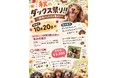 【Pets Tokyo豪徳寺2号店】秋のダックス祭り！を開催！