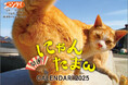 【発売決定！！】『開運!! にゃんたまωカレンダー2025』2025年版も大きな写真でにゃんたまを拝める壁掛け仕様で発売決定！ありがた～いにゃんたまを持ち運べるお守りカード特典も！