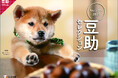 もはや年末の風物詩!!2025年版「豆助カレンダー」が今年も発売決定!豪華な特典も決定!