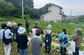 有機野菜を収穫体験!ファン参加型【オーガニックツアー】開催レポート