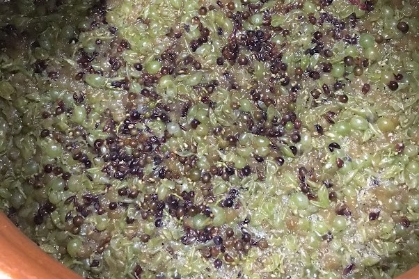 混醸では、複数のブドウを醸造に用いる。 混醸では、複数のブドウを醸造に用いる。