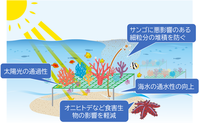 コーラルネットの機能模式図