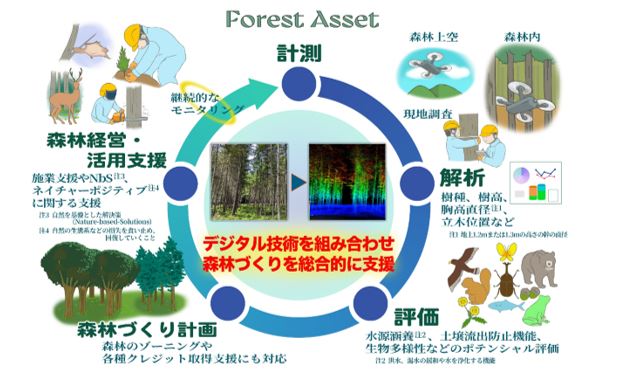 森林づくりをトータルサポートする「Forest Asset」の概要