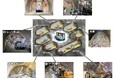 山岳トンネルの自動化施工システム「A4CSEL for Tunnel」が完成！