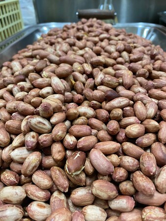 伊江島産の無添加落花生
