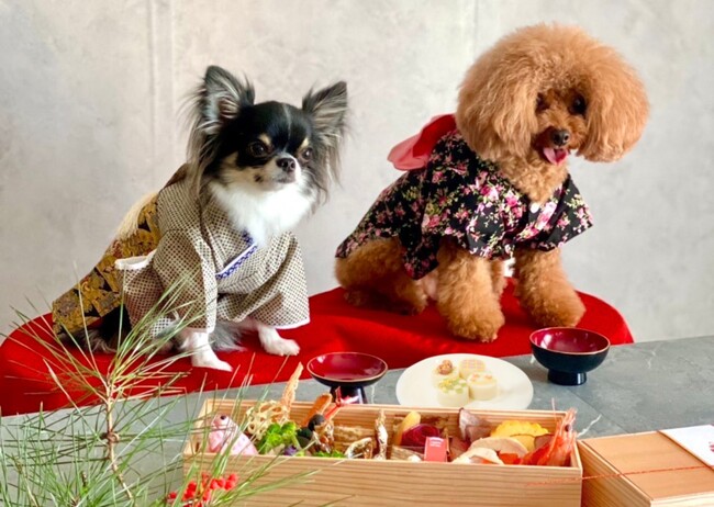 愛犬用おせち・愛犬用お正月ケーキ