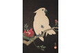 【小布施 北斎館】またとないチャンス!明治・大正・昭和の浮世絵の傑作が集結!特別展「知られざる秀逸コレクション」最終第4期は9月6日(土)から