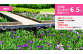 『らくたま11号(埼玉県富士見市①)』11/22より募集スタート!「全期間配当保証」「翌日償還」「優先劣後システム」を採用した高機能ファンドにより、資金効率最大化と投資安定性の向上を目指します。