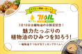 「7月10日は植物油の日」制定記念！植物油PRイベント「魅力たっぷりの植物油のひみつを知ろう！〜植物油でつながるクッキングタイム〜」を2026年7月10日（金）に開催