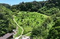 【千葉県長南町】樹木や草花を墓標にする「森の墓苑」が、開苑10周年を記念し最後の区画を今秋販売開始。森づくりに貢献する“SDGsなお墓”