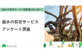 【おうちにプロ】庭木の剪定・お手入れサービスに関するアンケート