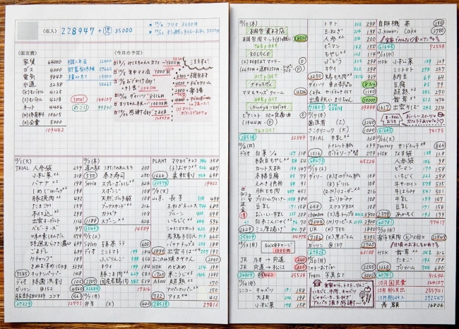 『毎日が潤う　づんの家計簿 決定版』（ぴあ）中面　（C）ぴあ