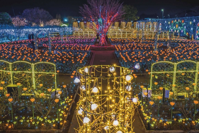 あしかがフラワーパーク　光の花の庭 Flower Fantasy