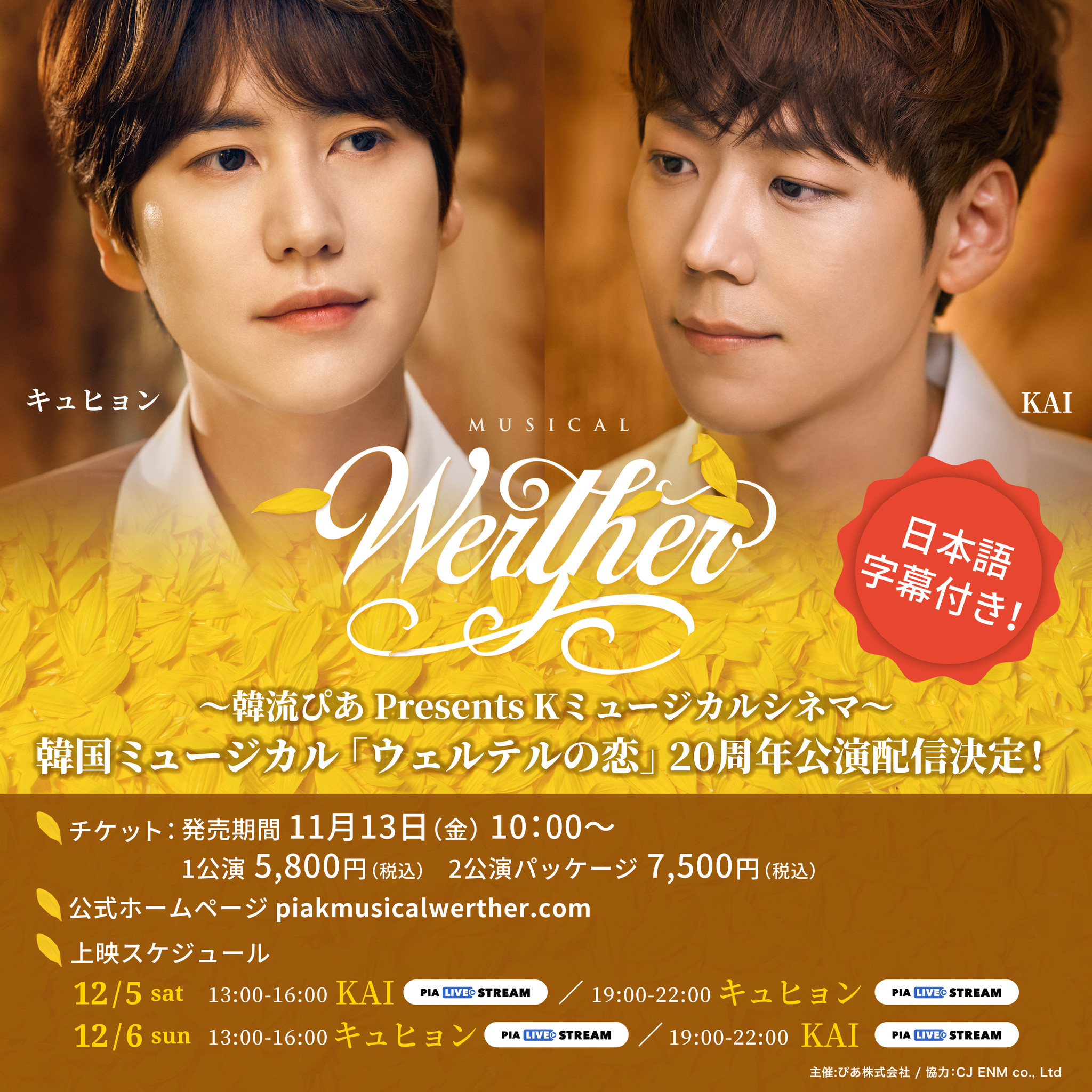 韓国ミュージカル　ウェルテル15周年 韓国 ミュージカル ウェルテル 15周年 20周年 OSTセット
