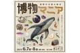 『地球のお宝大集合!博物マニア』前売チケットの発売開始!