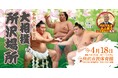 令和八年 春巡業 大相撲 所沢場所