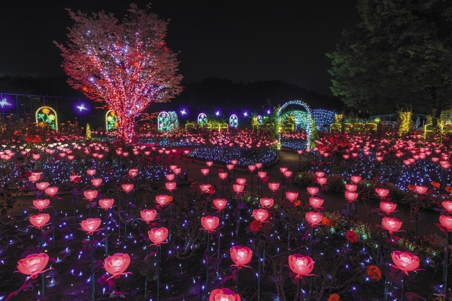 イルミネーション部門第一位　あしかがフラワーパーク「光の花の庭」栃木県足利市