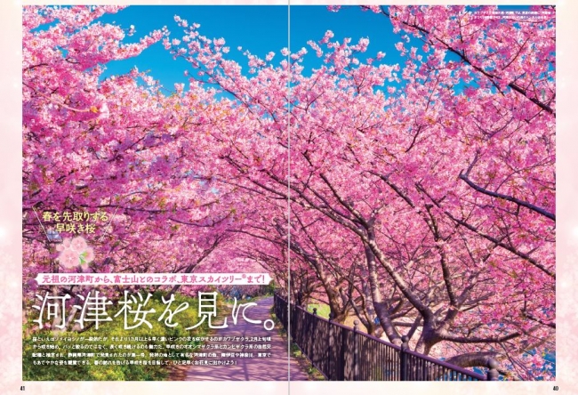 『桜の絶景 首都圏版』（ぴあ）中面