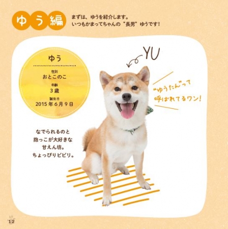 書籍『柴犬ゆうと猫のとろ』（ぴあ） 中面